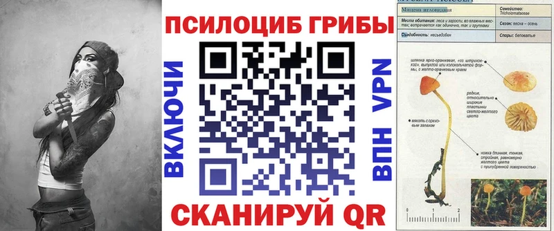 Купить закладки  Ишим  Галлюциногенные грибы прущие грибы 